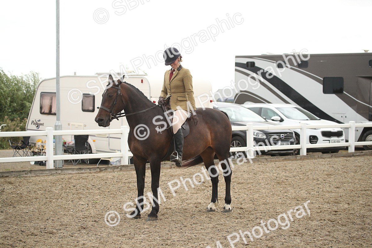 SBM_18410 - Class 509B - Working Veteran - 80cm (20+)