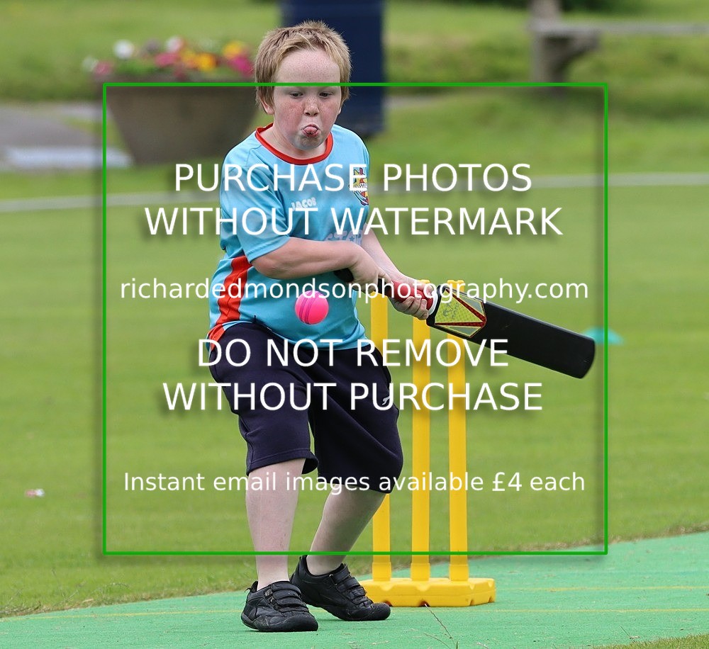 IMG_5974 - Netherfield Under 9's vs Burneside Under 9's (7/7/24)