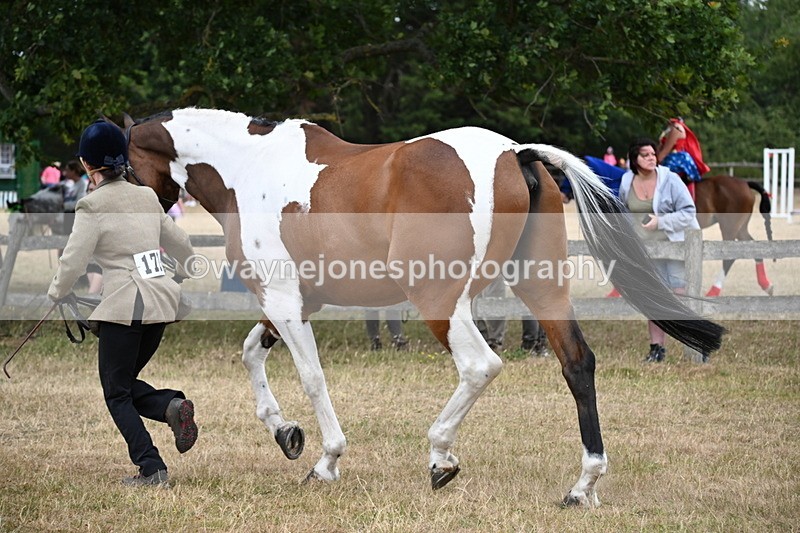 WJ6_8158 - Class 10 Coloured in Hand