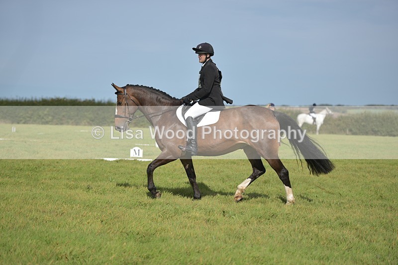 RAY_8023 - Class 2B: Trekenning Open: Dressage