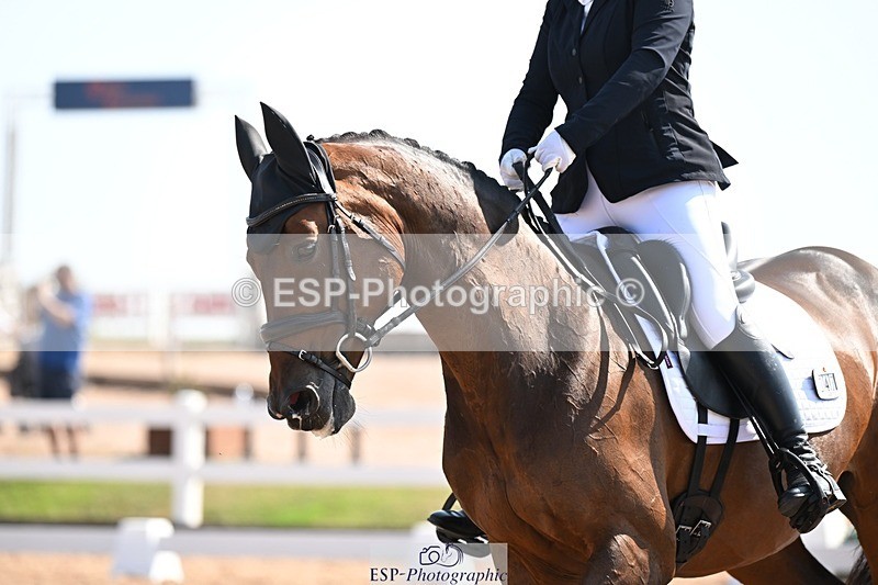 250816-105125-03473 - 047-Hannah.RogersWoodendfarm.Viva