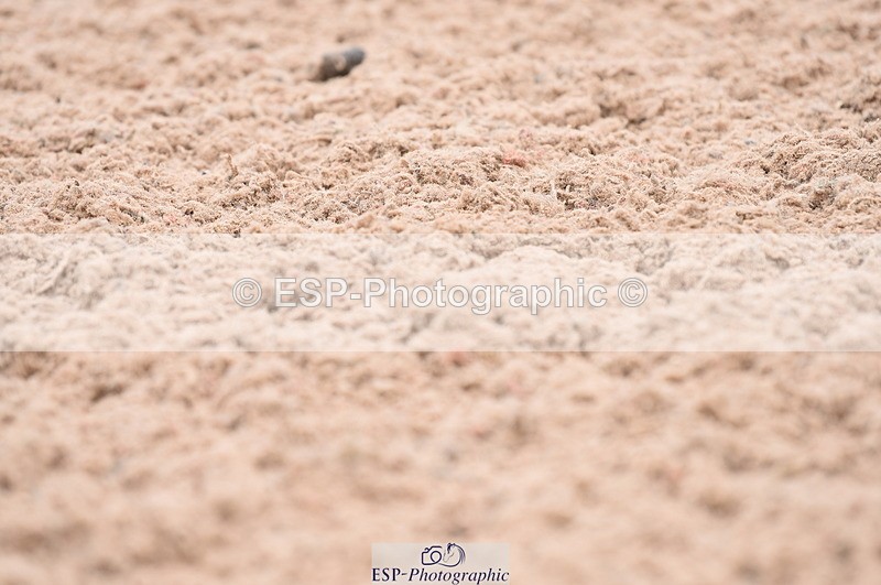 230701A-113816-05434 - Cls 4 Prelim 18