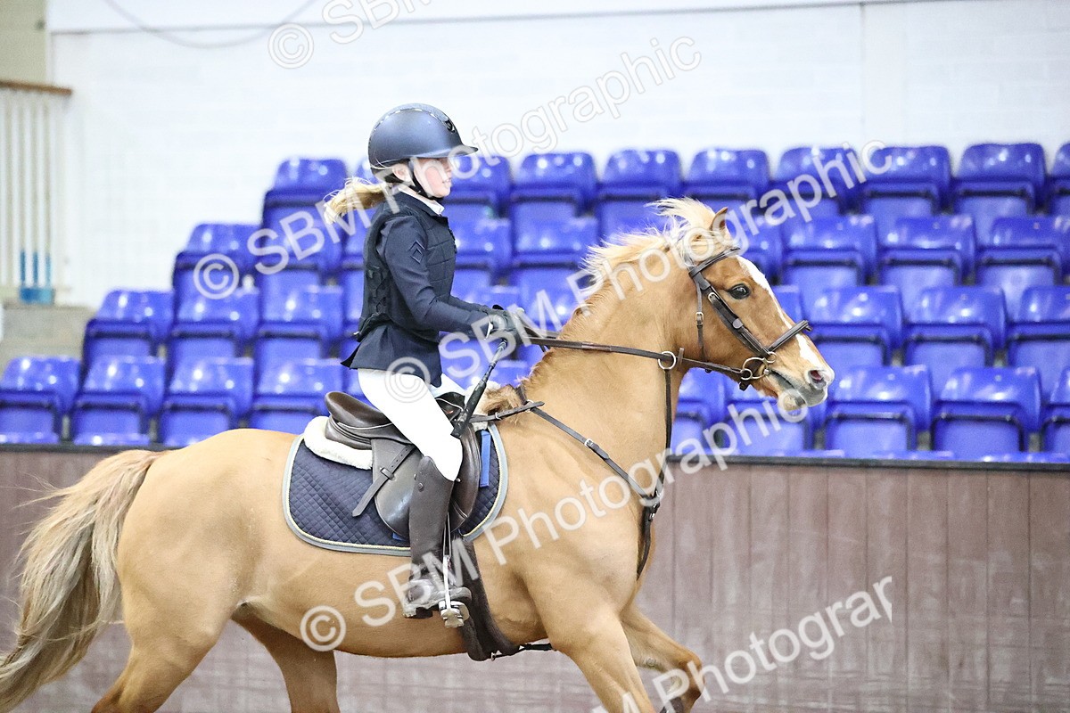 SBM_000473 - Class 2 - Pony British Novice - 80cm