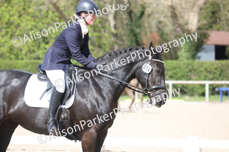 20260405-0470 - Class 5 - Elementary 5