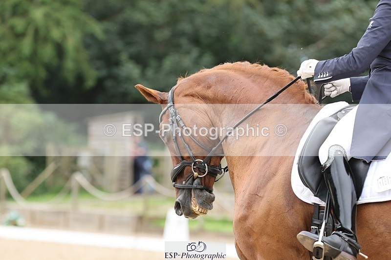 240810-140913-03449 - 167-Rachel.Tetley-Bono