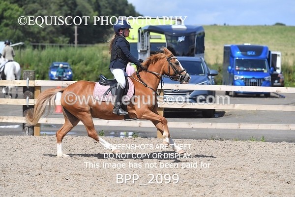 BPP_2099 - DERBY CLASS 6 - 70CM