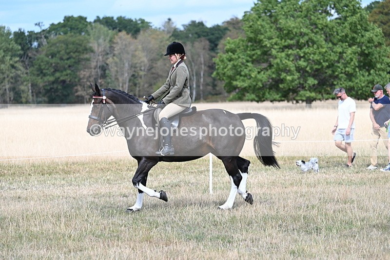 WJ7_5838 - Class 13 Ridden Veterans