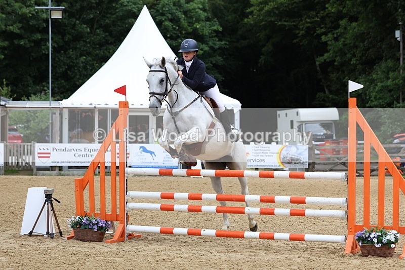 3E7A6077 - Class 4: Senior British Novice/90cm open