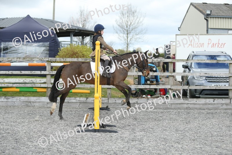 20260412-0742 - Show Jumping
