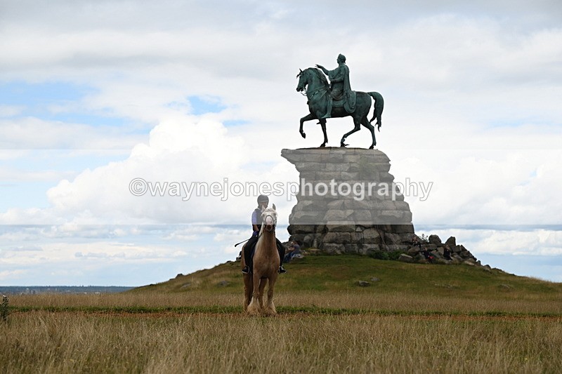 DSC_9570 - Time at Statue 15:11 to 15:58