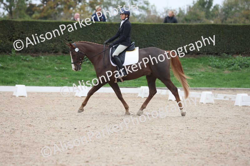 20251011-0373 - Class 4 - Novice 2