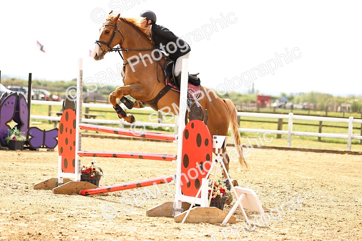 SBM_002001 - Class 10 - Senior British Discovery - 1.00m