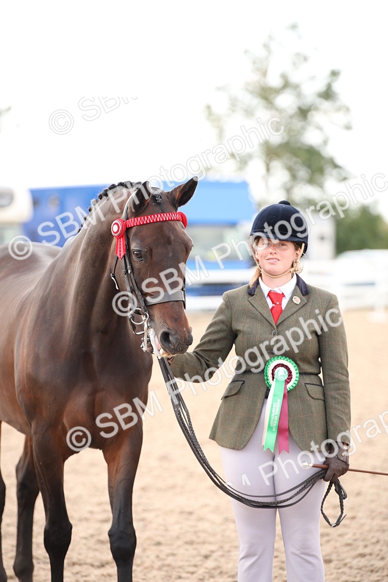 SBM_08264 - Class 27 - IH Competition Horse-Pony