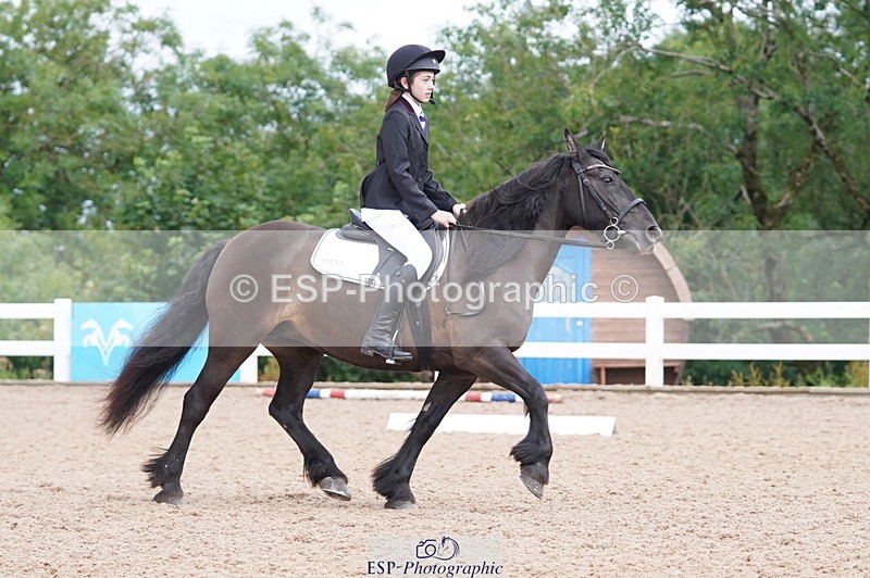 240809A-095046-00335 - Dressage Competition