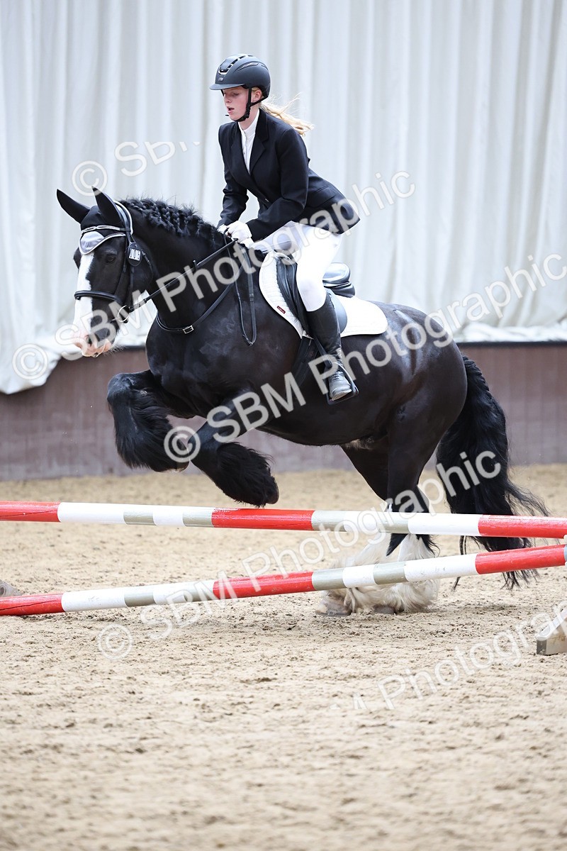 SBM_007676 - Class 3 - 60cm showjumping