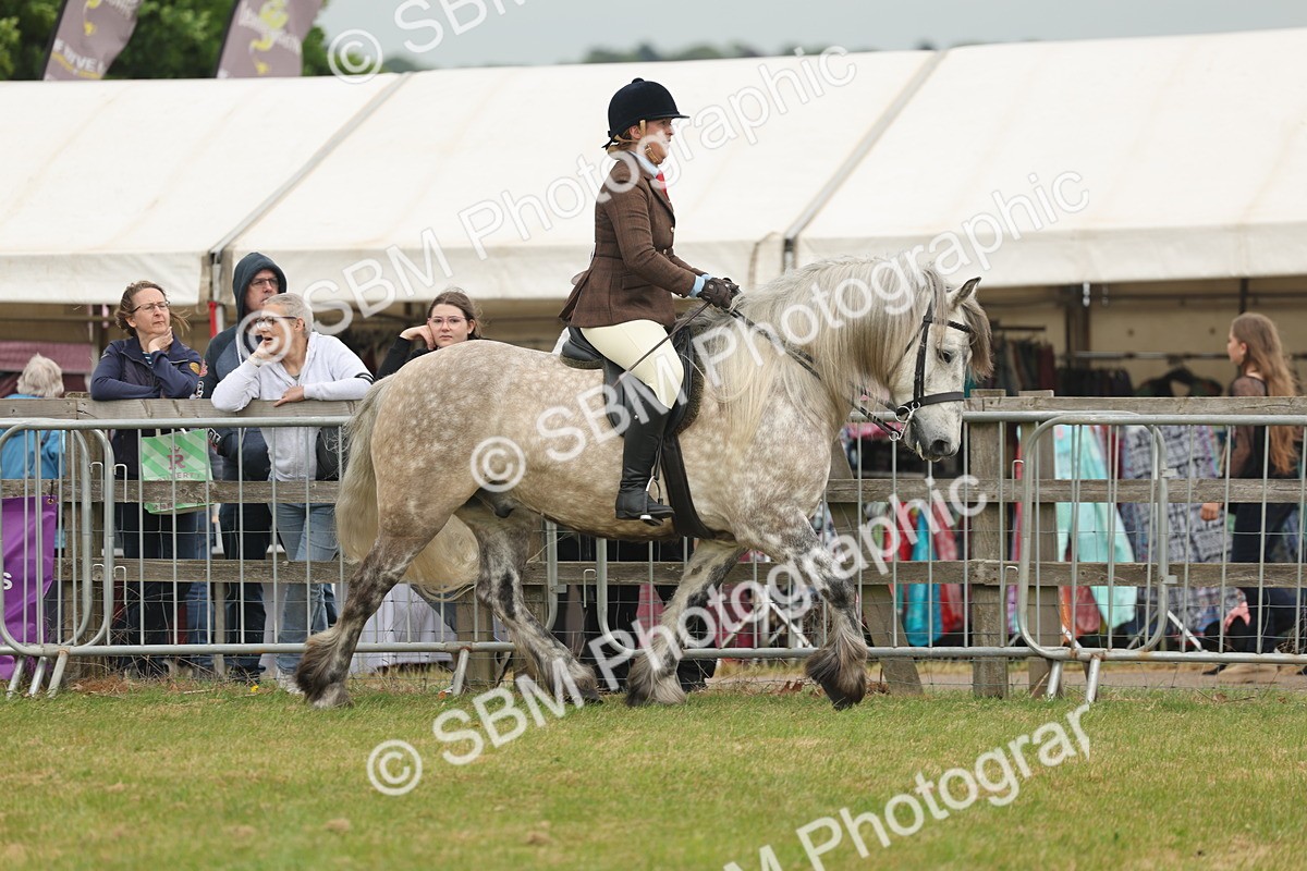 SBM_08944 - Class 78-80 - Ridden M&M Non Welsh Ponies