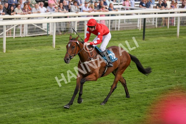 280723-Race 1-Tele Red-2672 - Race 1 5.00pm Pearly Cow Handicap