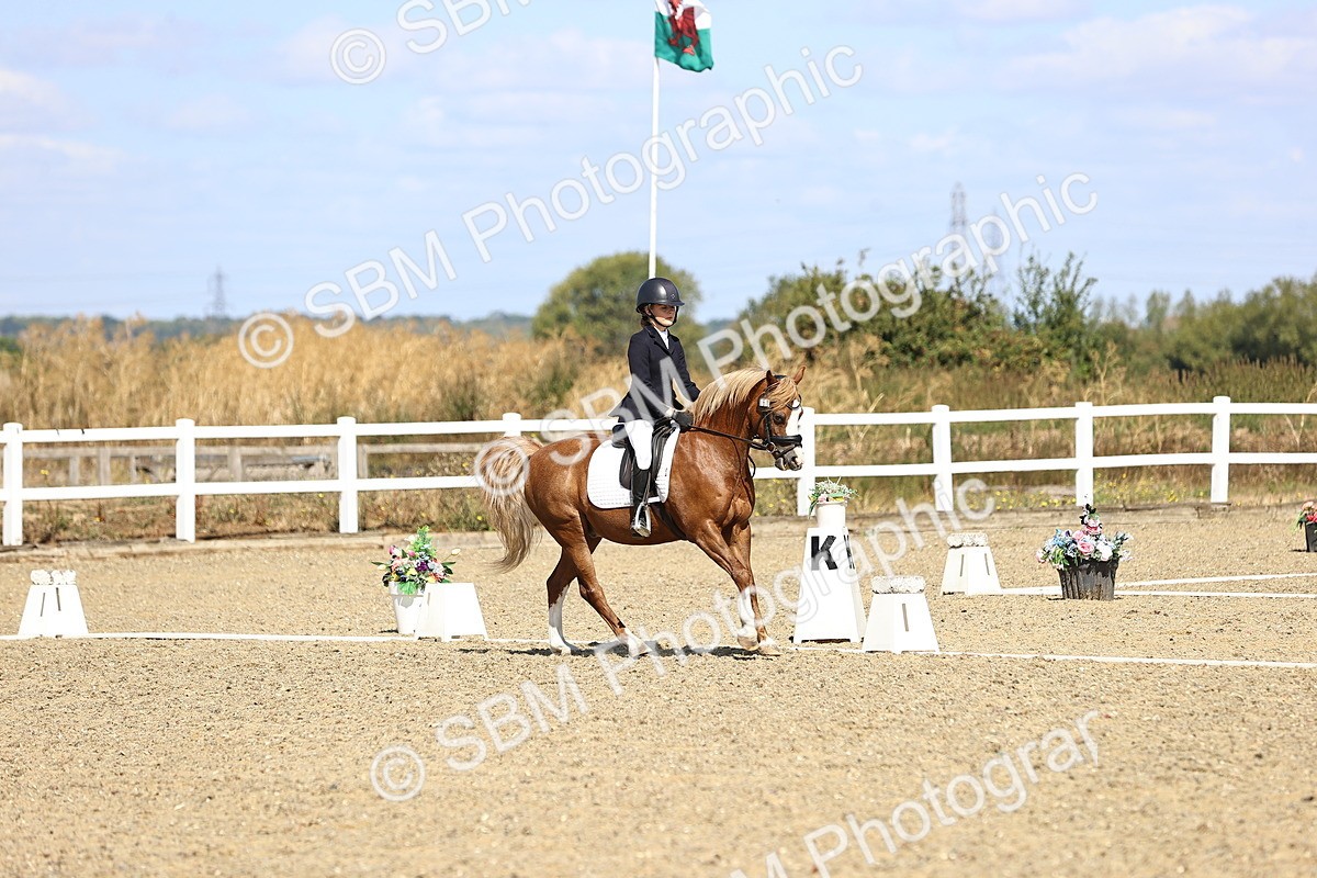 SBM_013843 - Class 2 - P5 Silver 11.20.12.23