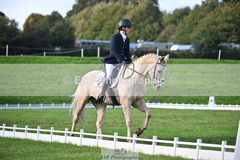 251024A-151010-13975 - E-395-Rolline.OCallaghan