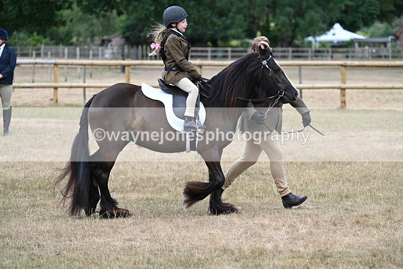 WJ7_6636 - Class 1 Lead Rein Pony