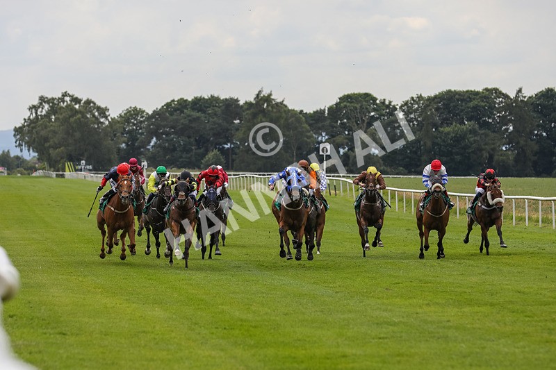 240624-Race 4-Golden Rainbow-0256 - Race 4