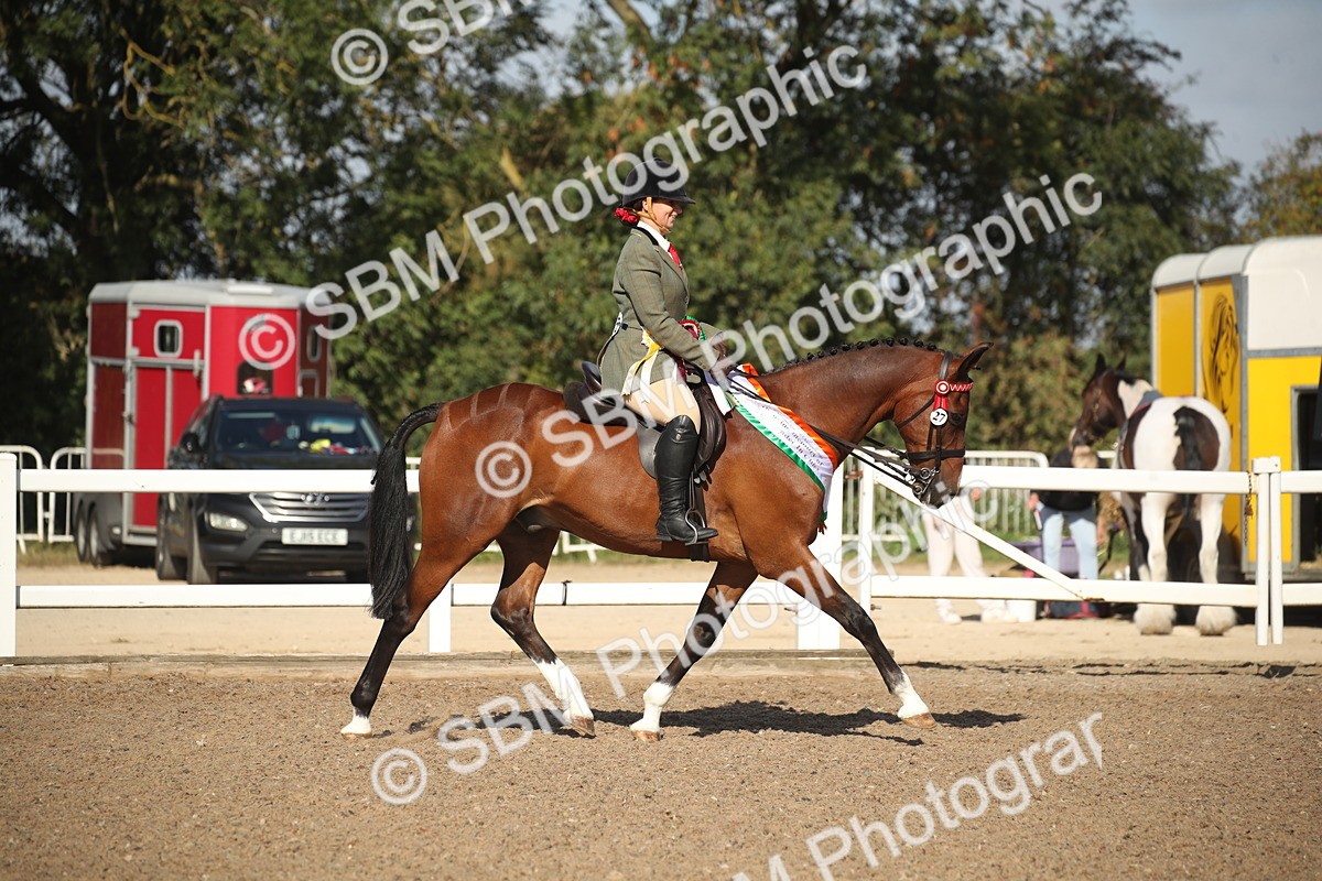 SBM_22744 - Class 601 - 2026 - Area - Ridden Diamond