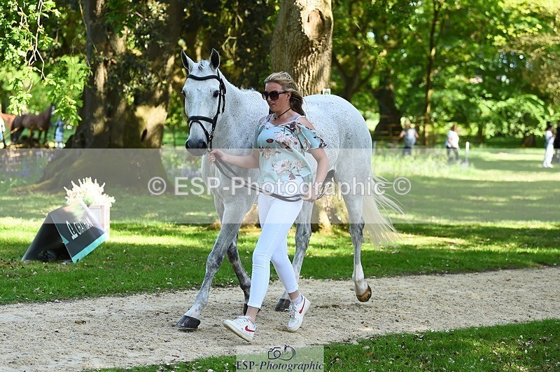 230524-155528-00554 - 203-DHI_CHILLI_START-Sophie_Hodgson-WEDTrotUp+DR