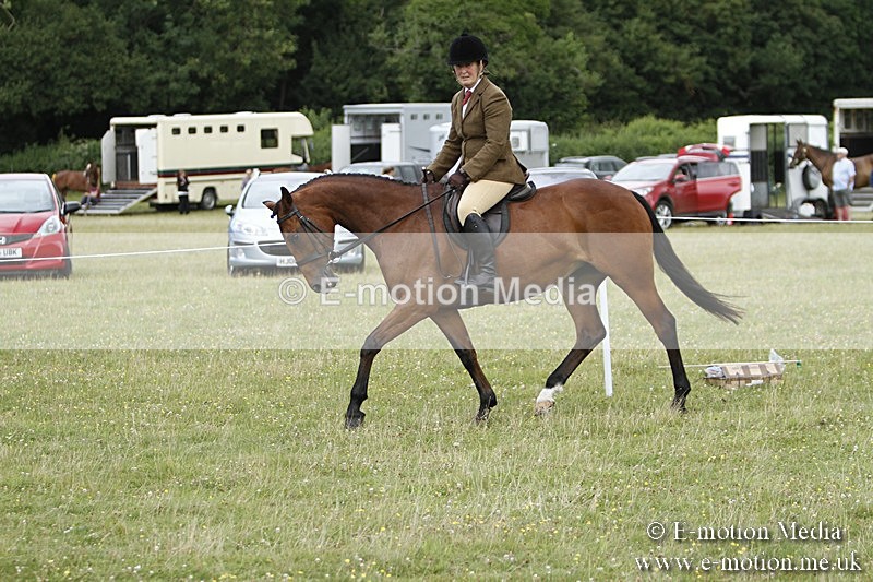 BVR160717-1785 - Ring 3 BVRC Show 16/07/17