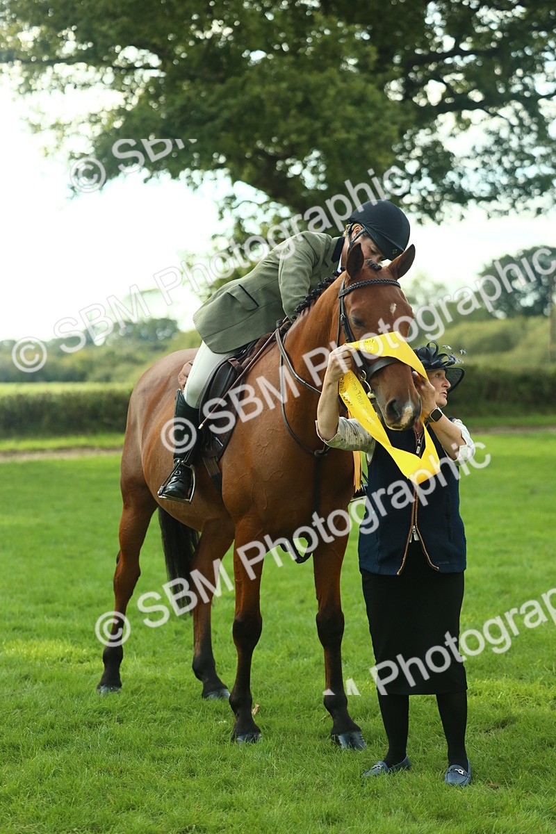 SBM_52205 - S33 - Working Hunter & Working Show Horse