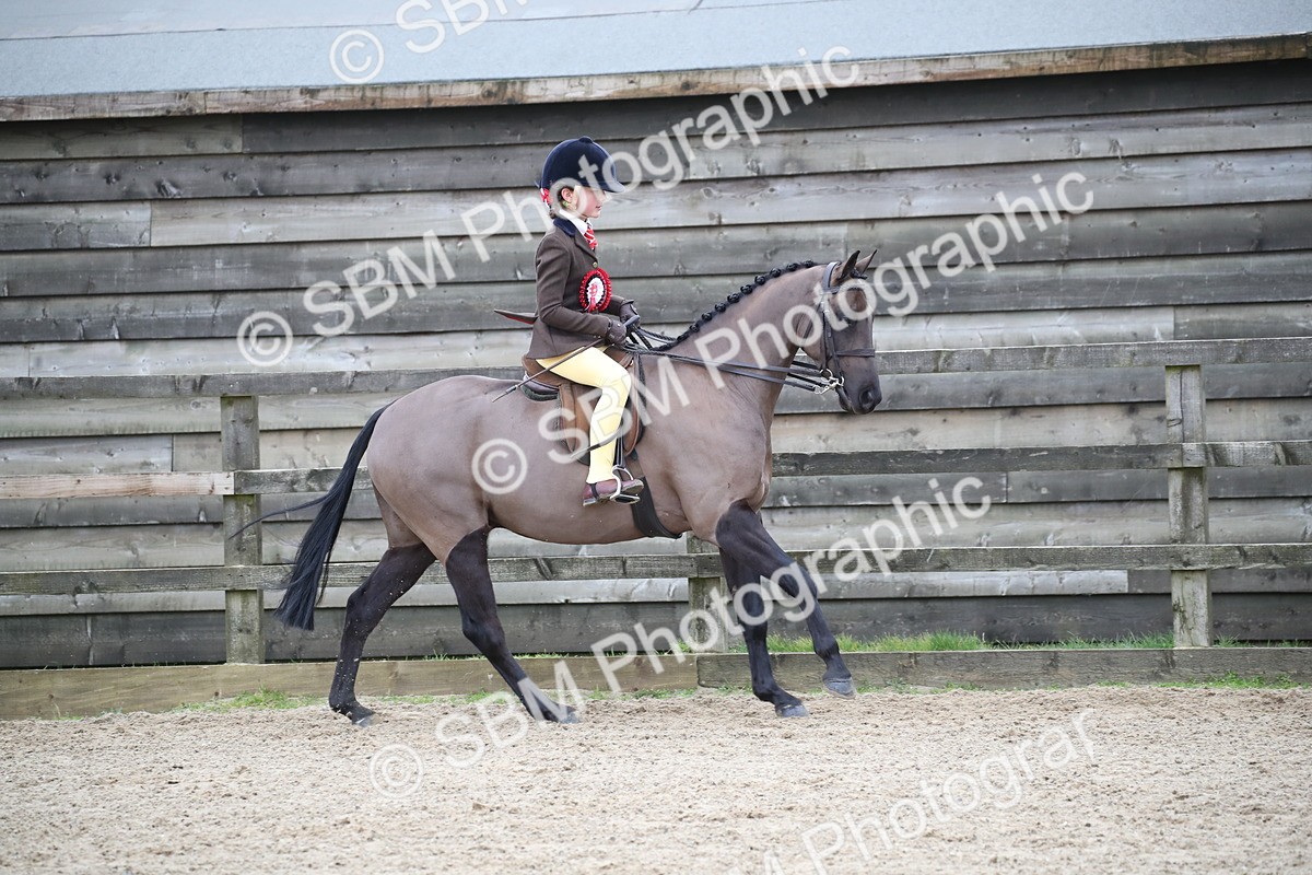 SBM_004815 - Class 5-9 - NPS In Hand-Show Hunter-Intermediate Ridden Inc Ridden Championship