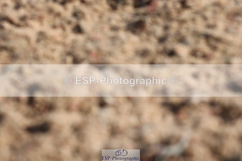 250622-090427-13465 - Cls 45 Prelim 6, Start to 9.50am