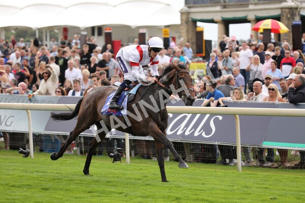 yr17082022r3-22 - Race 3 3.00pm Sky Bet Great Voltigeur Stakes