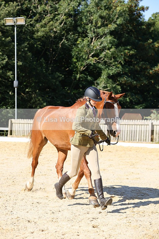 1X9A7821 - Class 9: Open Ridden Hunter