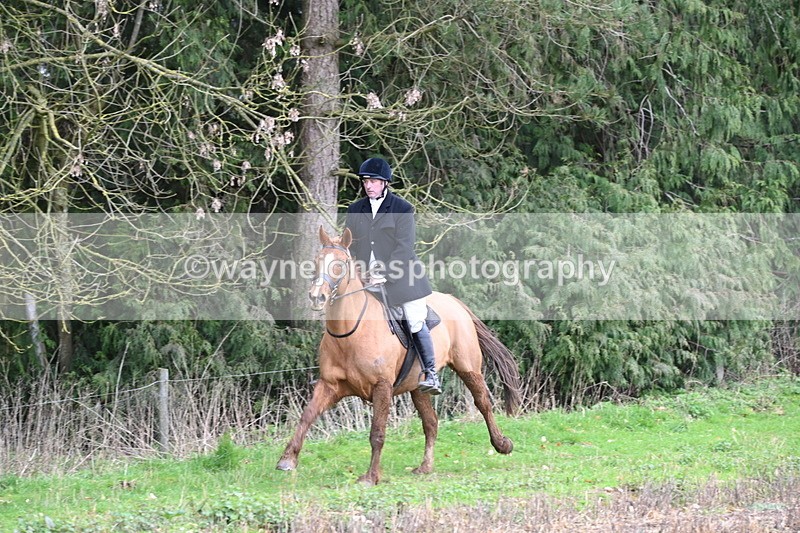 WJ6_9490 - Line Four