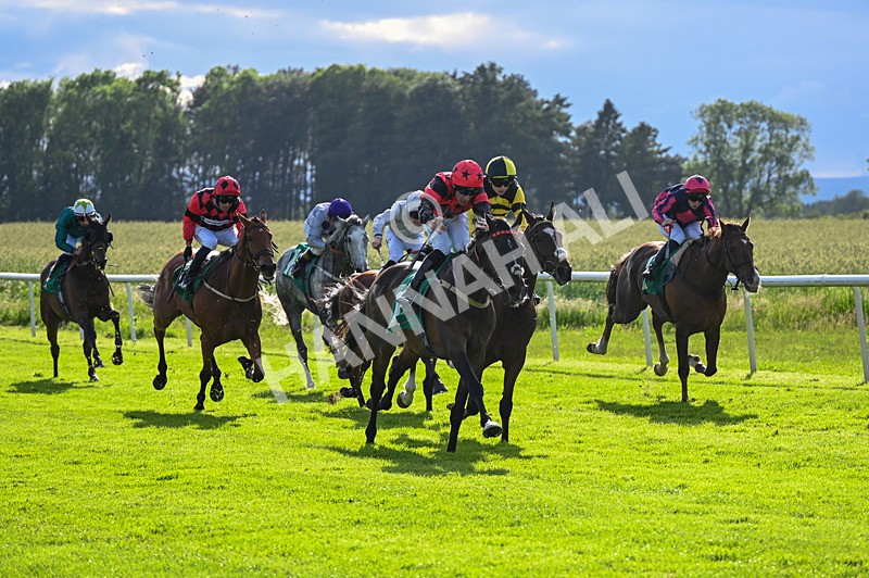 310526-Race 6-Mountain Road-9276 - Race 6 18.15pm Sky Bet For The Fans Handicap