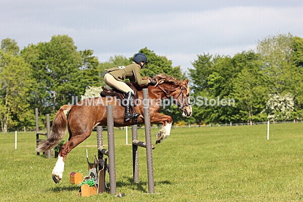 IMG_4728 - Working Hunter