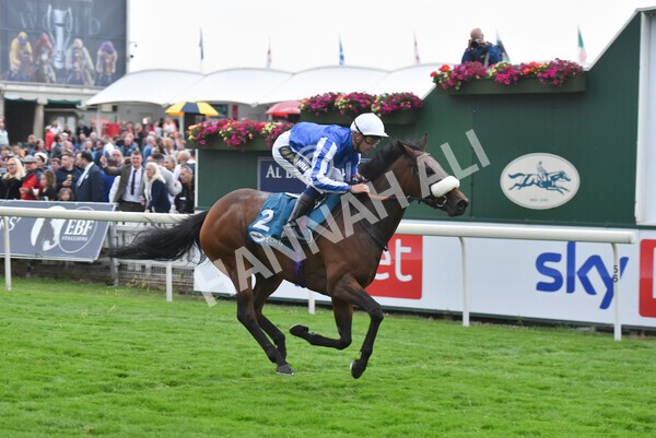 yr22072022r7-35 - Race 7 8.25pm The Sky Bet Go-Racing-In-Yorkshire Summer Festival Stakes