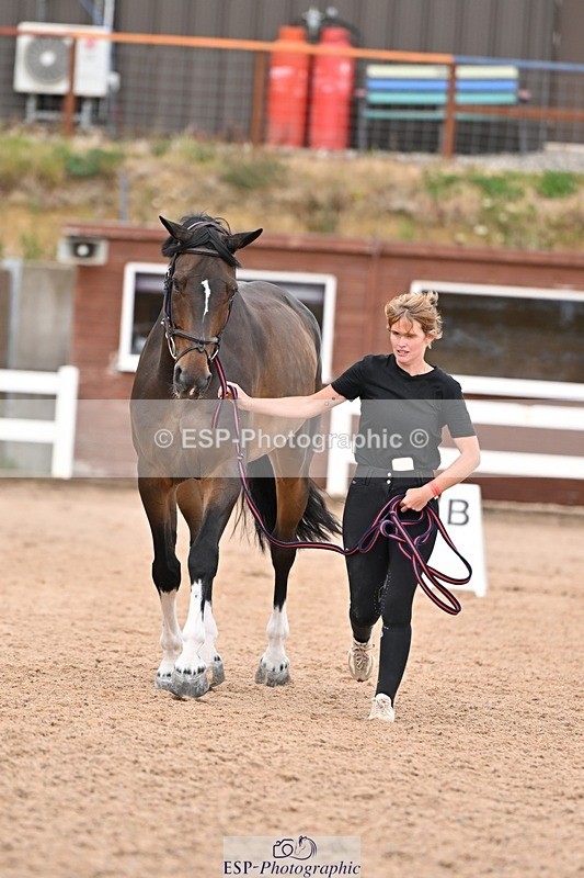 250716-163408-02669 - Trot Up 4.30 to 5.00