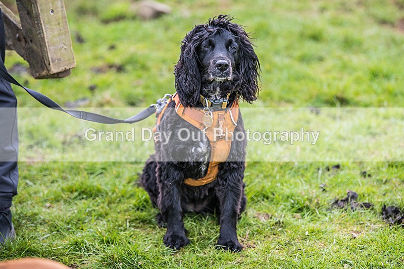 Isel Cross-15 - Isel Cross Race Saturday 19th April 2025