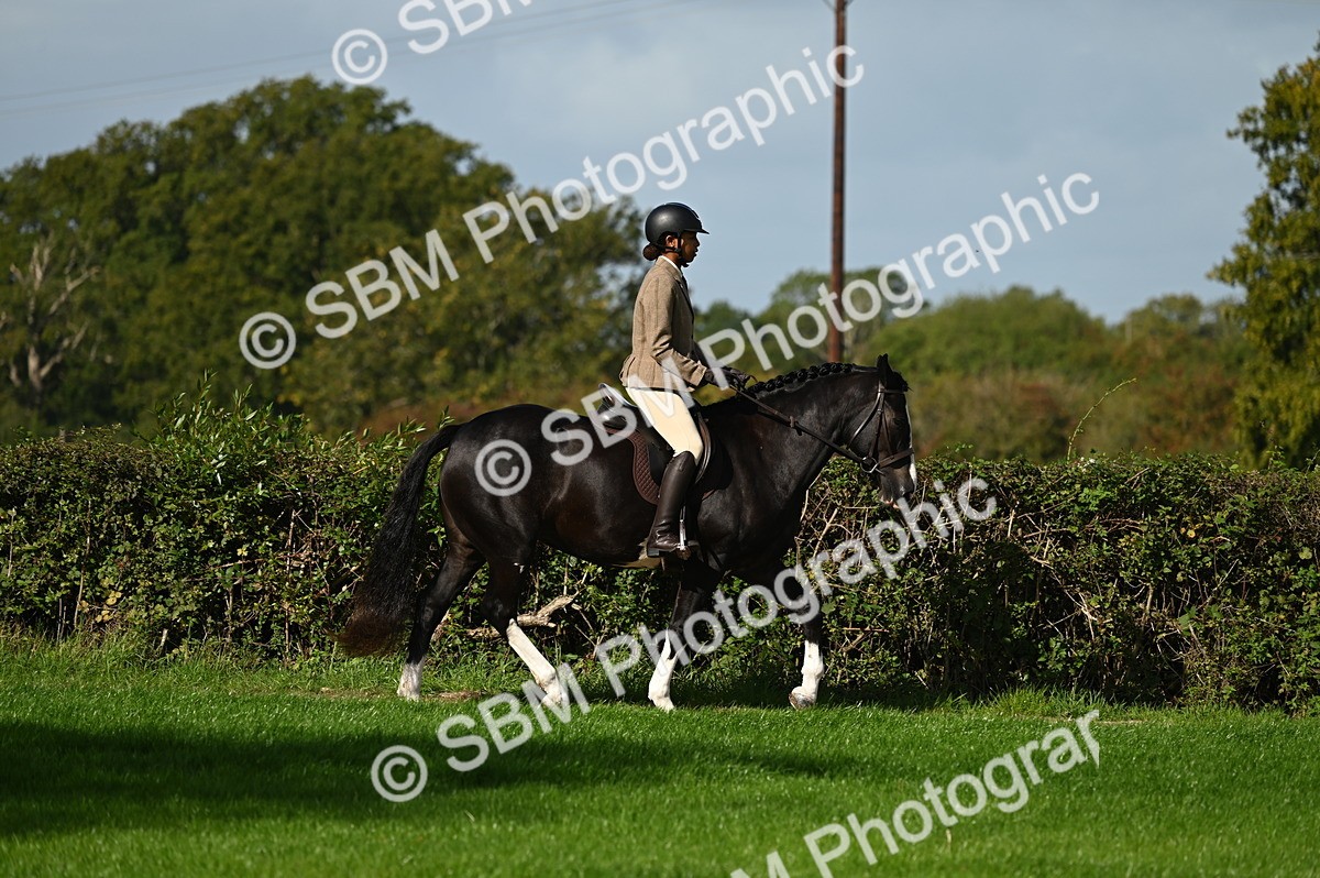 SBM_01305 - S2 - TSR Ridden Horse Showing