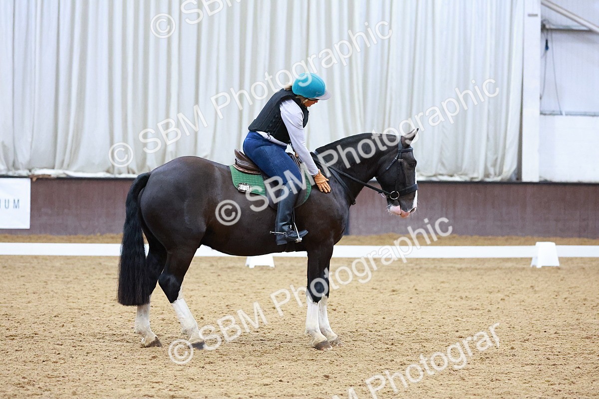 1I0A0928 - Class 3-6 - Prelim 1-Novice 2