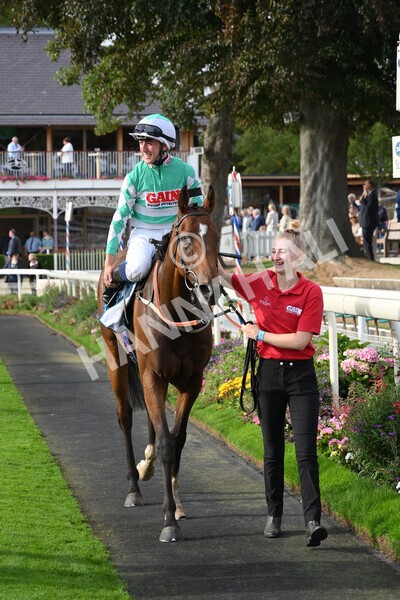 yr04092022r6-46 - Race 6 4.40pm Hanson Springs Stakes