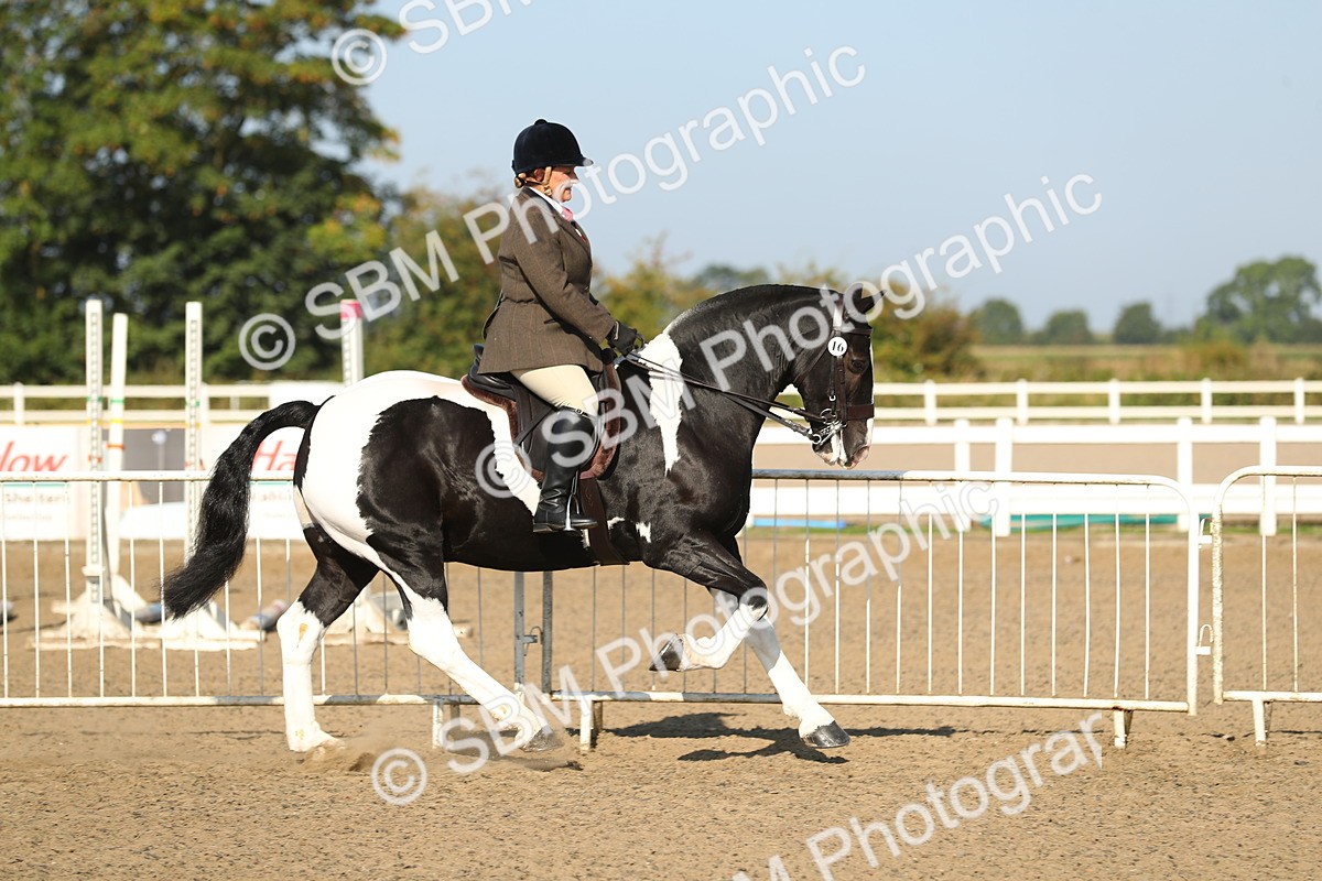 SBM_01140 - Class 42 Ridden Veteran