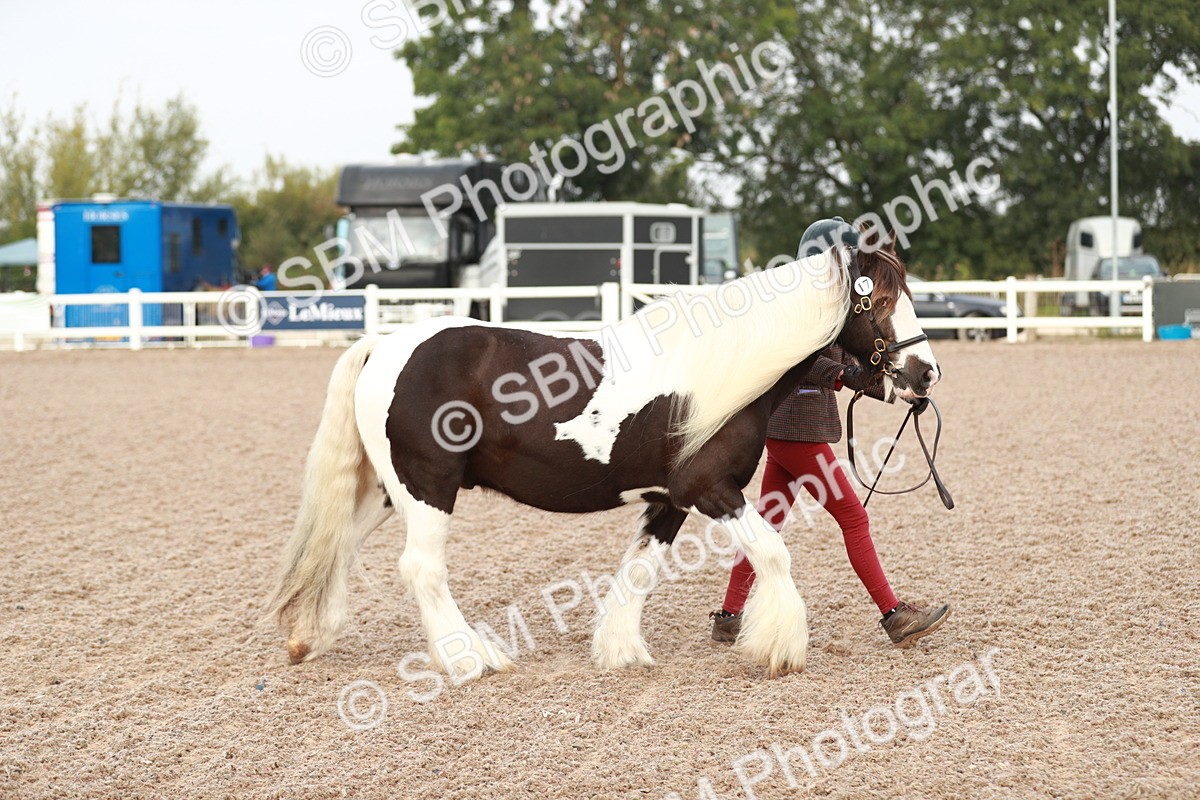 SBM_09468 - Class 201 Best Turned Out IH