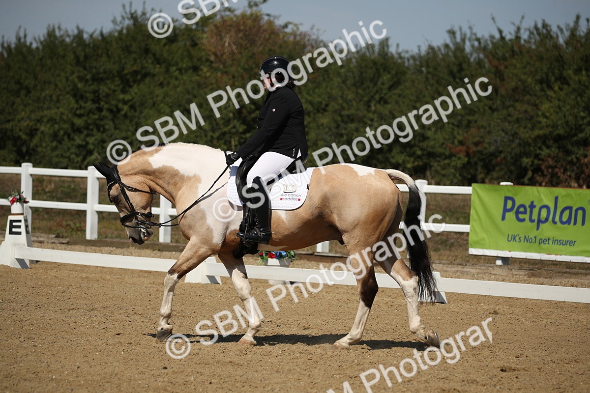 SBM_005085 - Class 11 - Novice 5 - 11.41-12.58