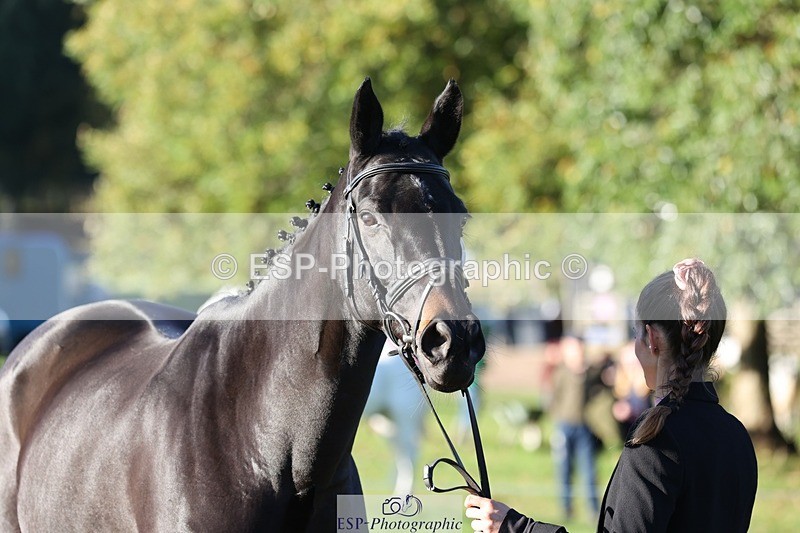 241027-085533-14899 - 463-Ilaria.Serra-FOXBURY.STORMBORN