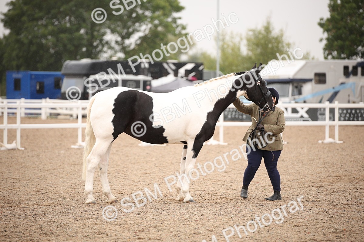 SBM_20168 - Class 703 - IH  Coloured