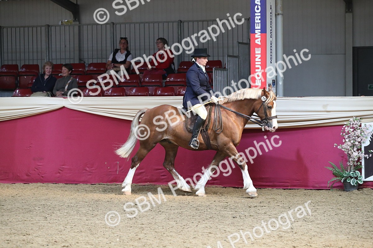 SBM_16290 - Class 502 M&M Ridden Supreme Final