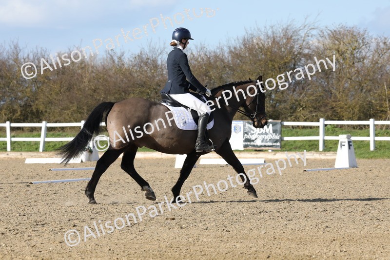 20260314-5139 - CT6 - Elementary 1