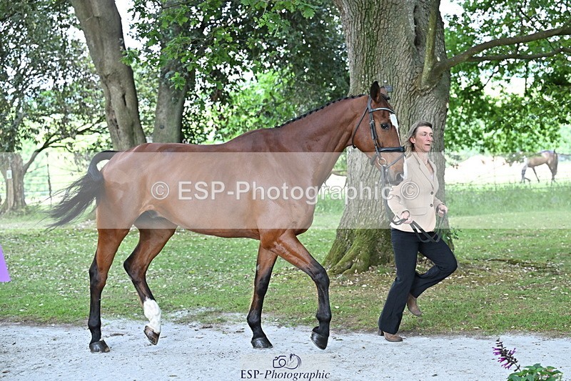 250521A-165544-01407 - C-272-Louisa.Lockwood-KILCANNON.OREO